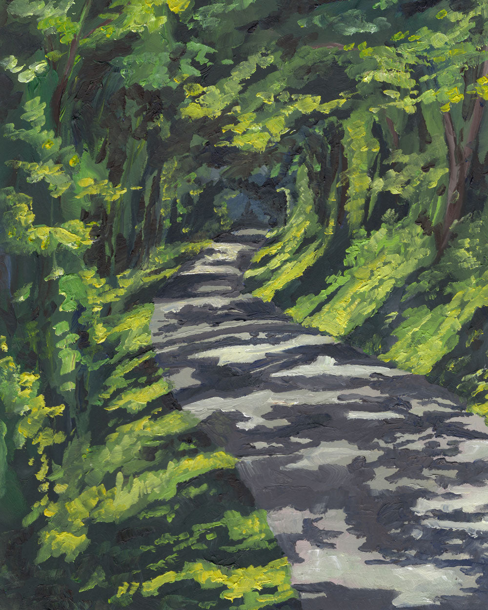 Wild Leopard Road | Driftless Hour Collection