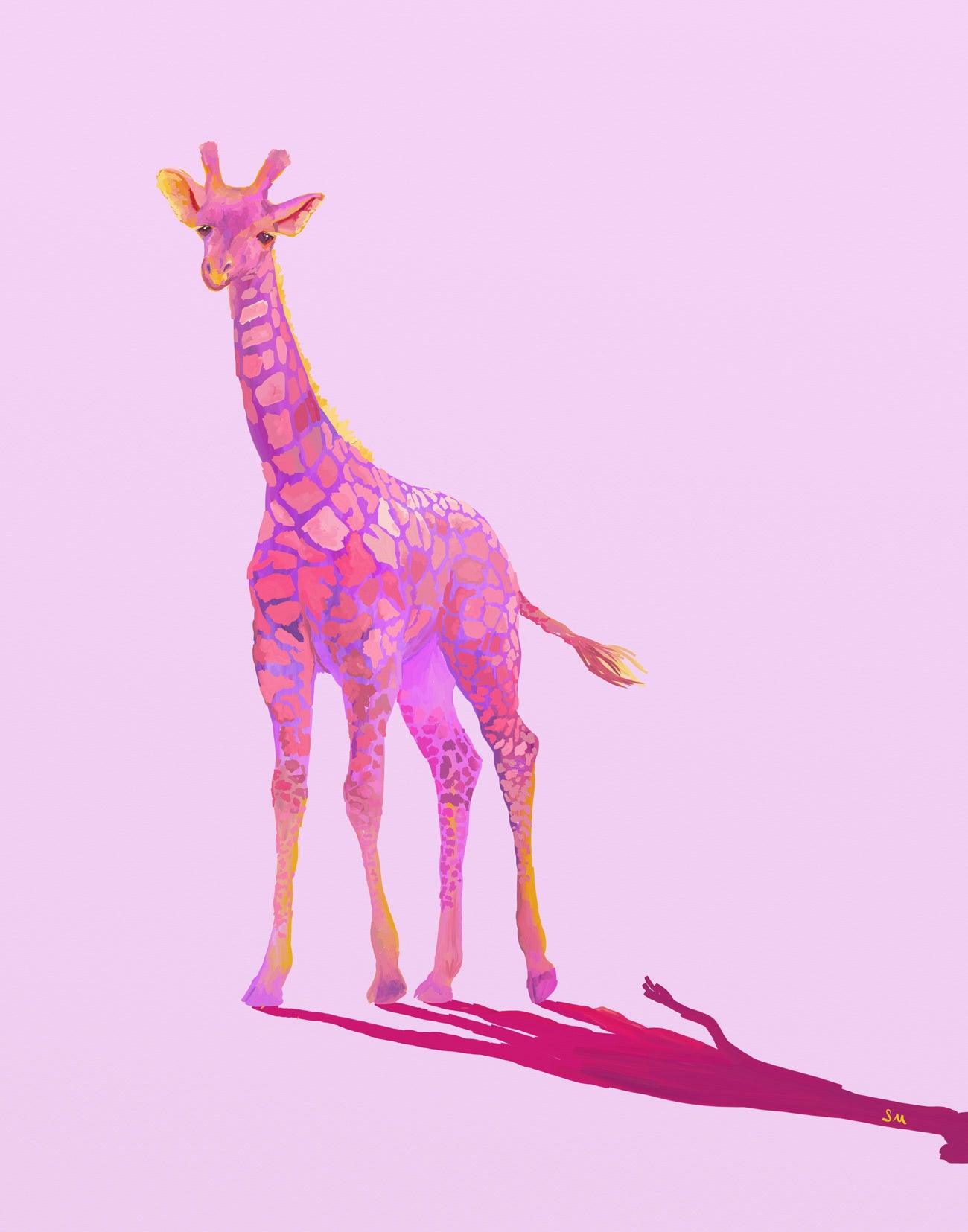 Fonda - GingerPopStudio