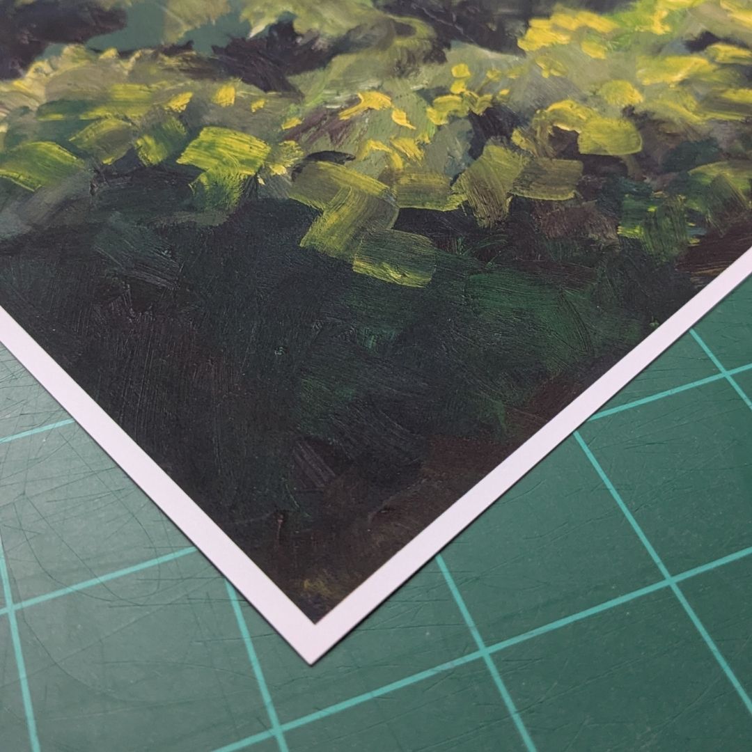 Cotton Candy Creek | Driftless Hour Collection
