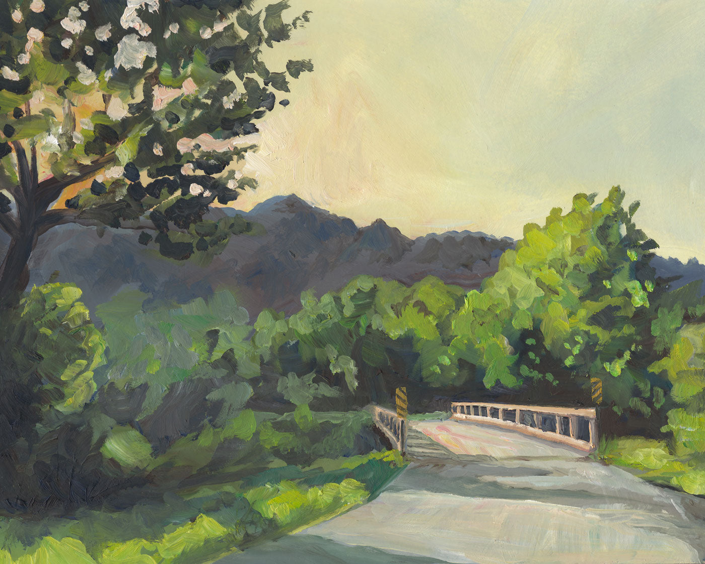 West Fork Creek | Driftless Hour Collection