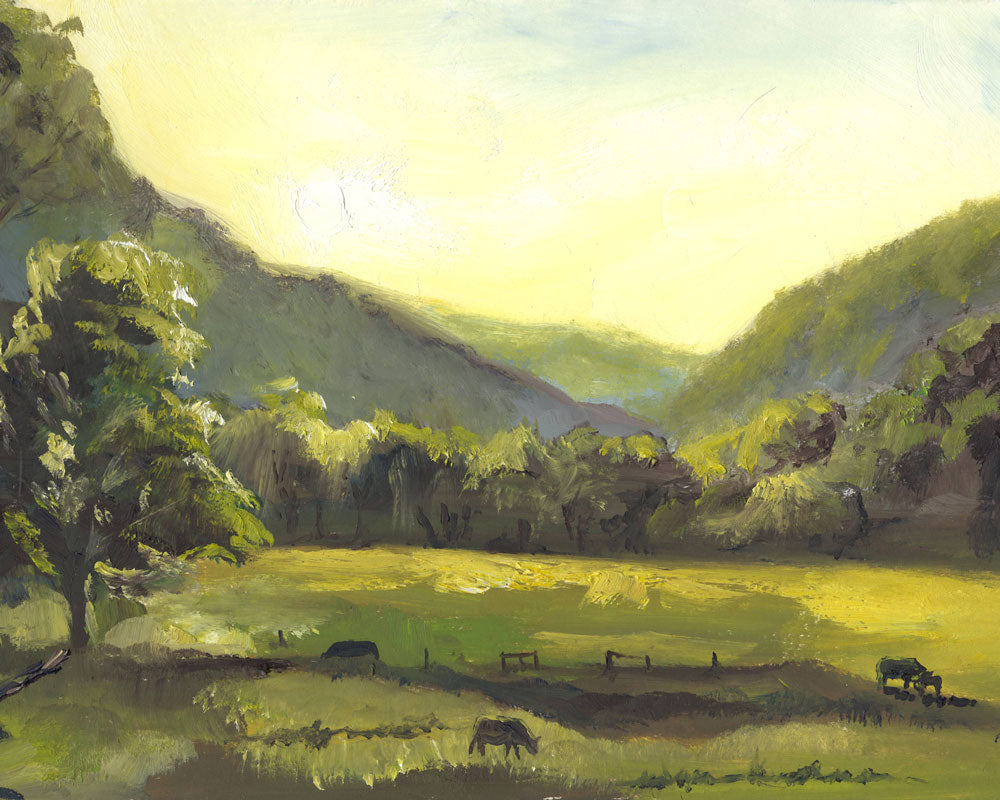 Golden 56 | Driftless Hour Collection