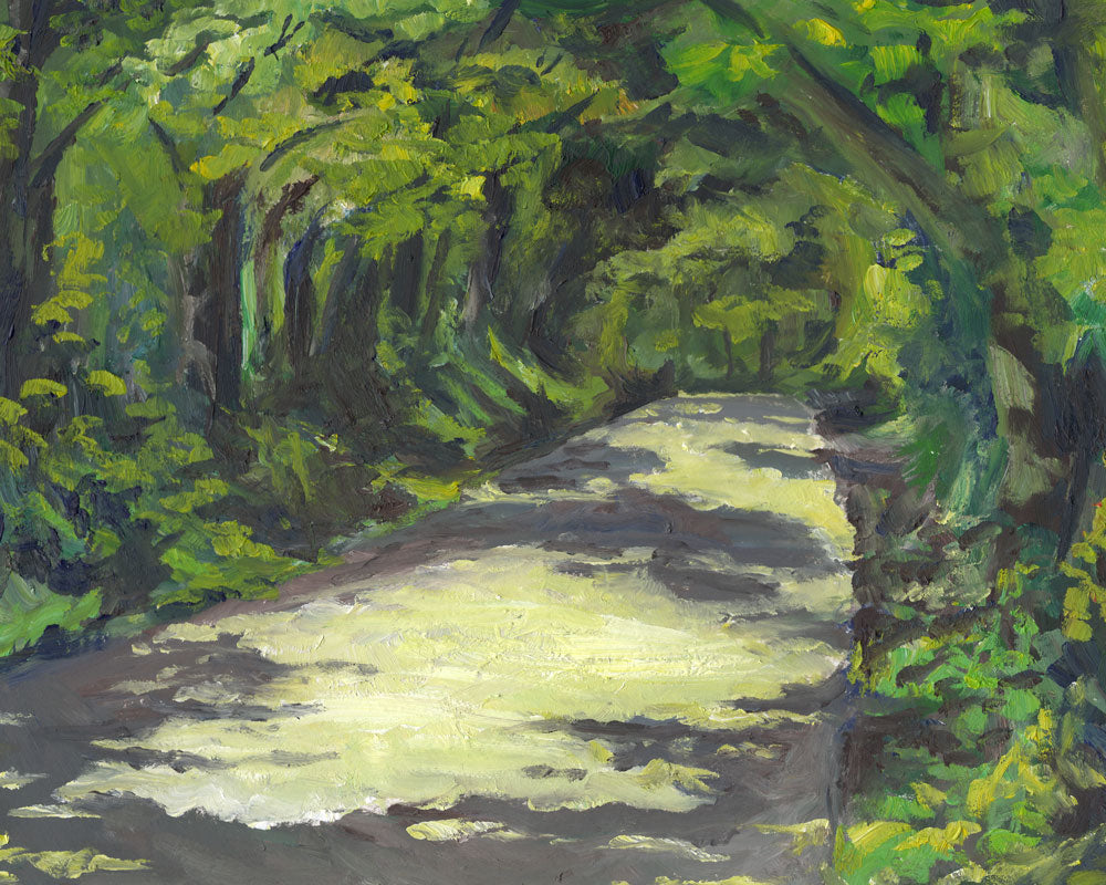 Dappled Road | Driftless Hour Collection